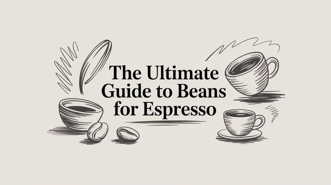 The Ultimate Guide to Beans for Espresso