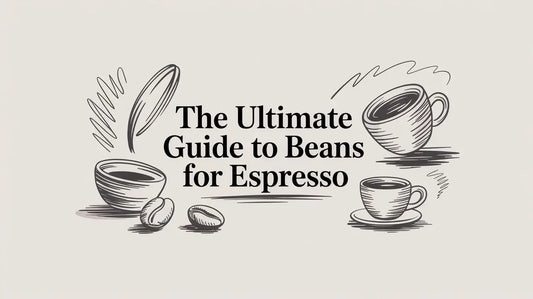 The Ultimate Guide to Beans for Espresso
