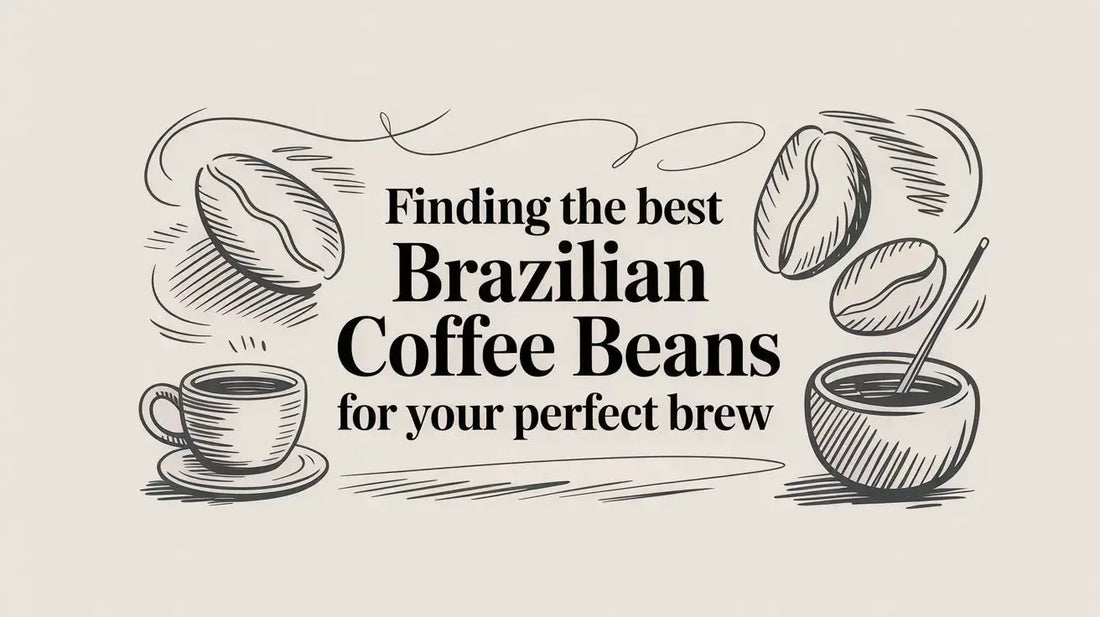 Finding the Best Brazilian Coffee Beans for Your Perfect Brew - Lost Without Coffee Co.