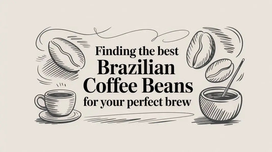 Finding the Best Brazilian Coffee Beans for Your Perfect Brew - Lost Without Coffee Co.
