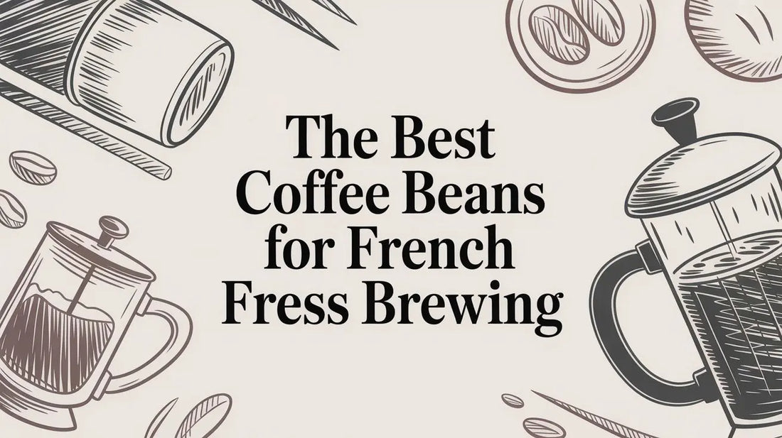 The Best Coffee Beans for French Press Brewing