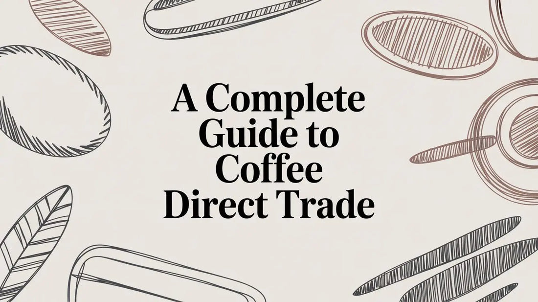A Complete Guide to Coffee Direct Trade