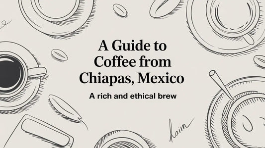 A Guide to Coffee from Chiapas Mexico: A Rich and Ethical Brew