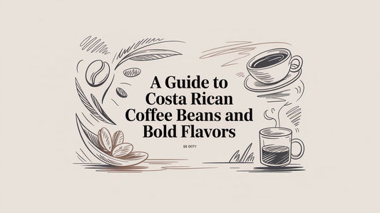 A Guide to Costa Rican Coffee Beans and Bold Flavors