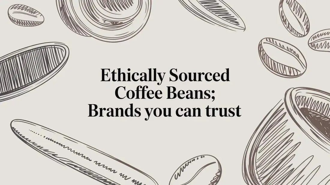 Ethically Sourced Coffee Beans: Brands You Can Trust - Lost Without Coffee Co.