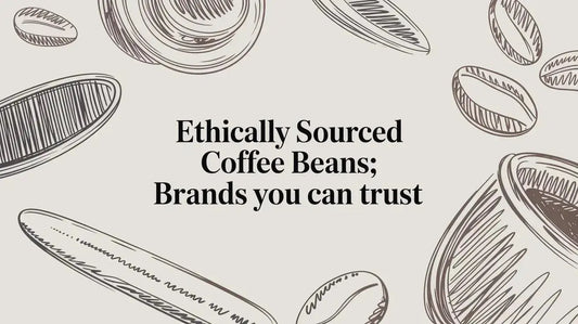 Ethically Sourced Coffee Beans: Brands You Can Trust - Lost Without Coffee Co.