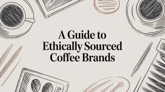 A Guide to Ethically Sourced Coffee Brands - Lost Without Coffee Co.
