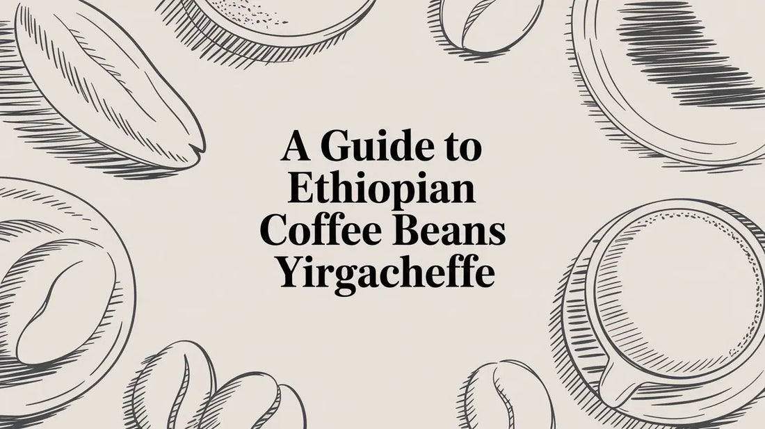 A Guide to Ethiopian Coffee Beans Yirgacheffe