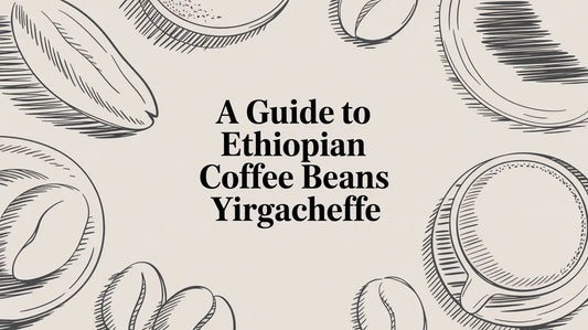 A Guide to Ethiopian Coffee Beans Yirgacheffe