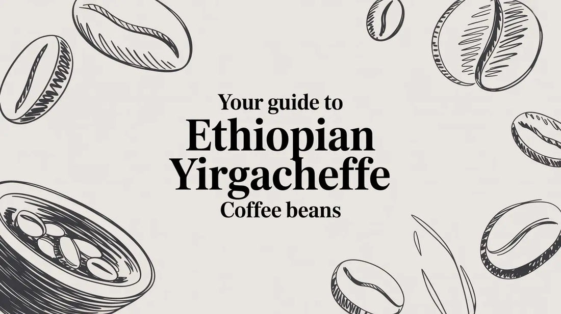 Your Guide to Ethiopian Yirgacheffe Coffee Beans