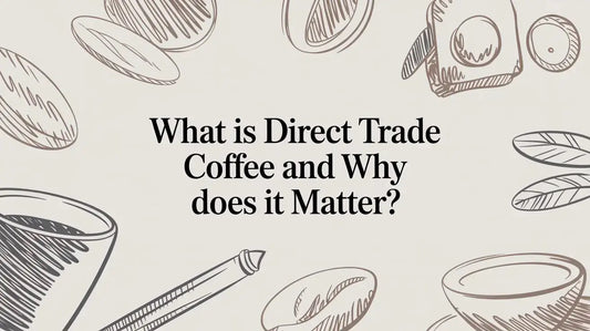 What Is Direct Trade Coffee and Why Does It Matter? - Lost Without Coffee Co.