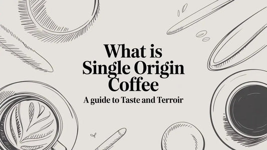 What Is Single Origin Coffee A Guide to Taste and Terroir - Lost Without Coffee Co.